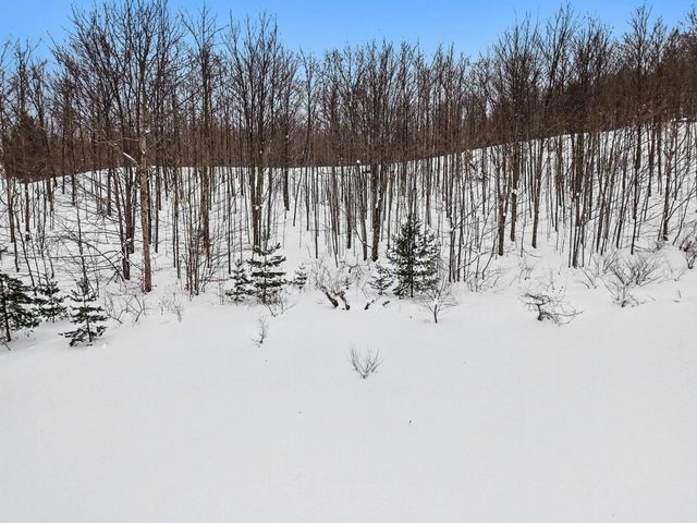 4885 Grayhawk Boulevard, Traverse City, MI 49684