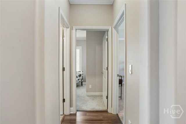 72 Hanover Place, Richmond Hill, GA 31324