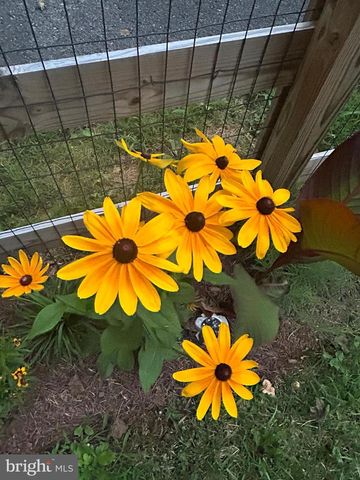 3466 MIDDLE RD, Winchester, VA 22602