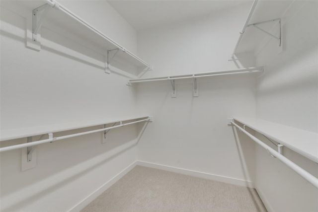 831 Cavitt Court, Prosper, TX 75078