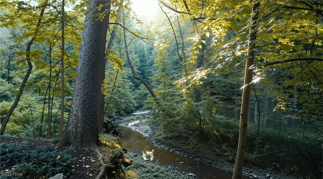 14759 Hillbrook Lane N, Chagrin Falls, OH 44022