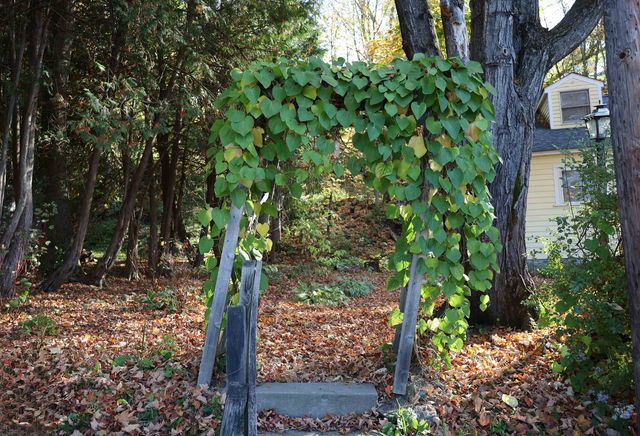 133 Barker Avenue, St. Johnsbury, VT 05819