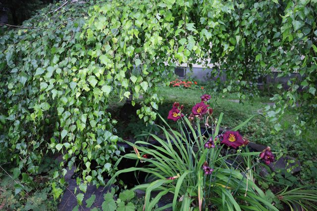 133 Barker Avenue, St. Johnsbury, VT 05819