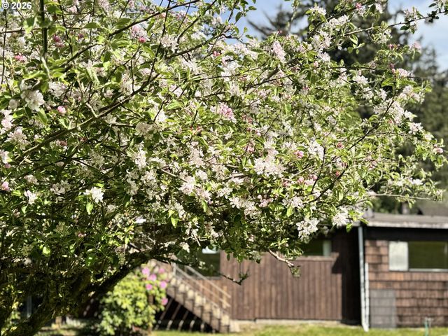 735 3RD Ave, Gearhart, OR 97138