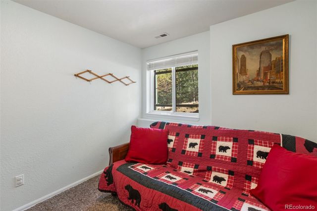 1121 Ridge Road, Divide, CO 80814