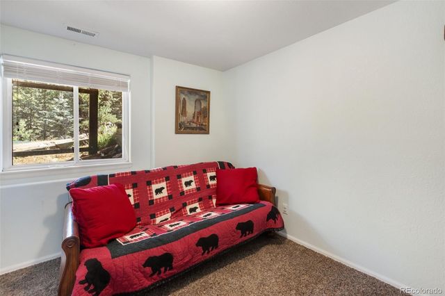 1121 Ridge Road, Divide, CO 80814