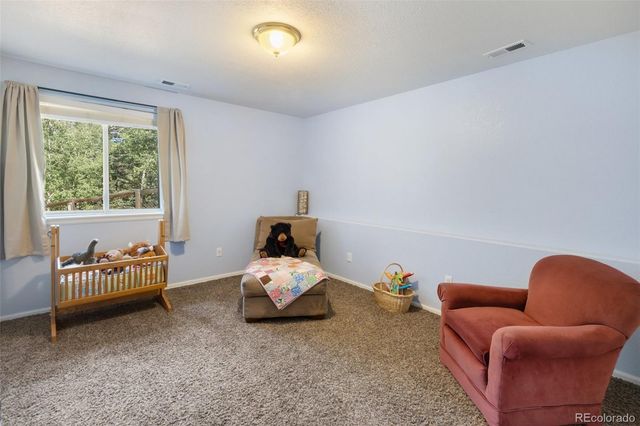 1121 Ridge Road, Divide, CO 80814