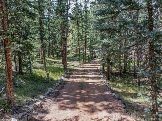 1121 Ridge Road, Divide, CO 80814