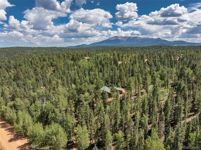 1121 Ridge Road, Divide, CO 80814