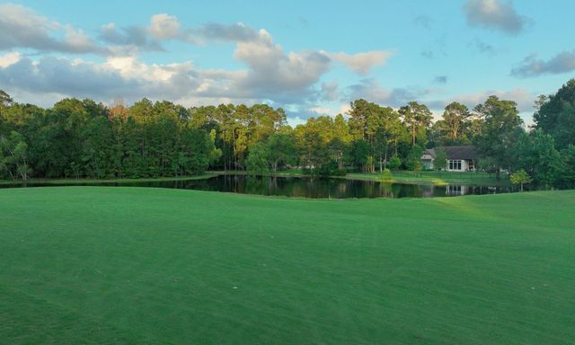 28733 Lakeside Green, Magnolia, TX 77355