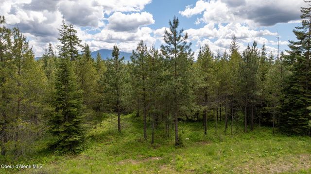 8917 E Riley LOOP, Athol, ID 83801