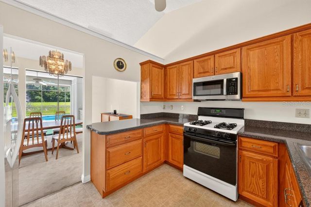 19020 LAKE SWATARA ROAD, Eustis, FL 32726