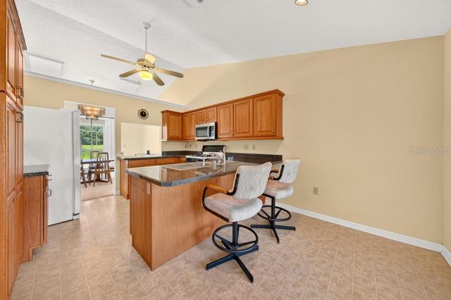 19020 LAKE SWATARA ROAD, Eustis, FL 32726