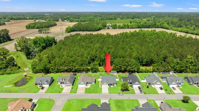 337 Basswood Ct., Conway, SC 29526