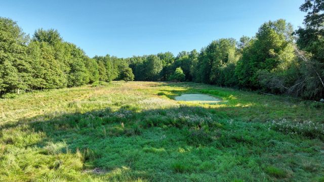 49300 Arkona Road, Sumpter Twp, MI 48111