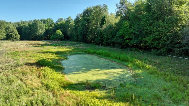 49300 Arkona Road, Sumpter Twp, MI 48111