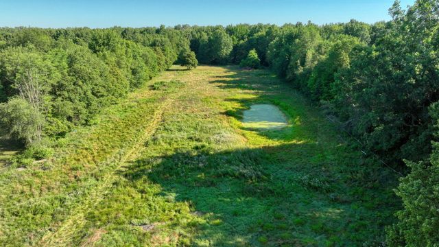49300 Arkona Road, Sumpter Twp, MI 48111