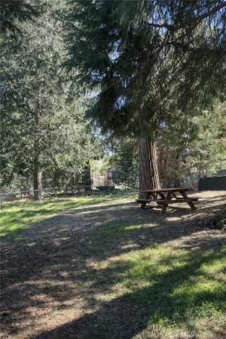 705 Clubhouse, Twin Peaks, CA 92391