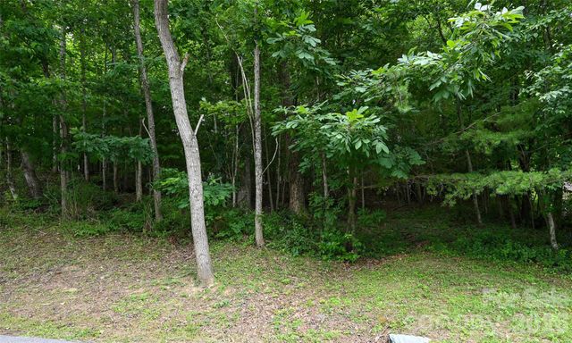 77 Carriage West Drive, Hendersonville, NC 28791