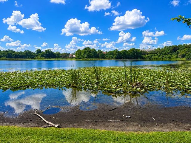145 N PEARL LAKE CAUSEWAY 210, Altamonte Springs, FL 32714