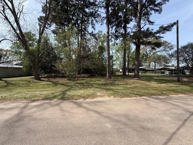 411 Sherwood Street E, Cleveland, TX 77327