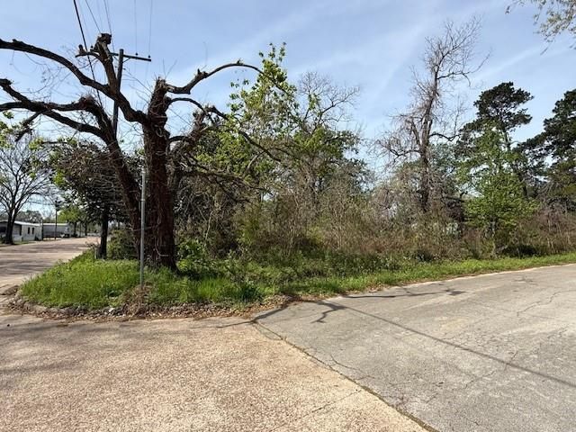 411 Sherwood Street E, Cleveland, TX 77327