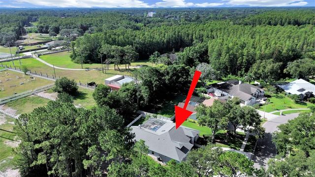 17110 DOWNS DRIVE, Odessa, FL 33556