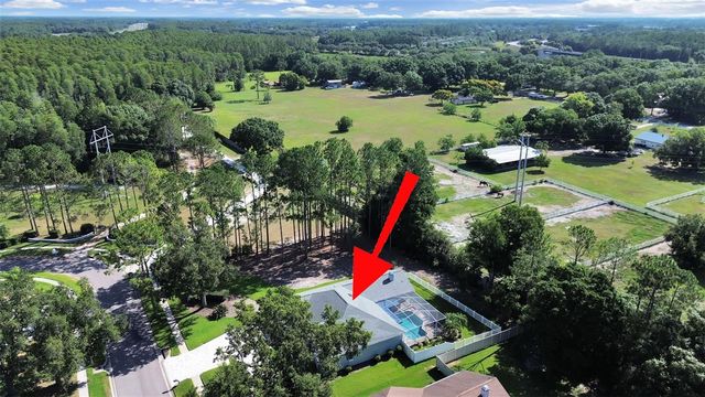 17110 DOWNS DRIVE, Odessa, FL 33556