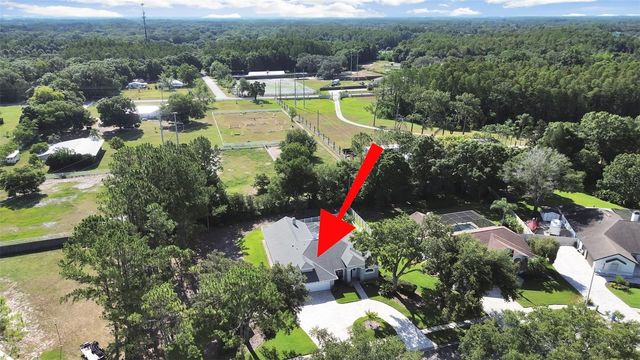 17110 DOWNS DRIVE, Odessa, FL 33556