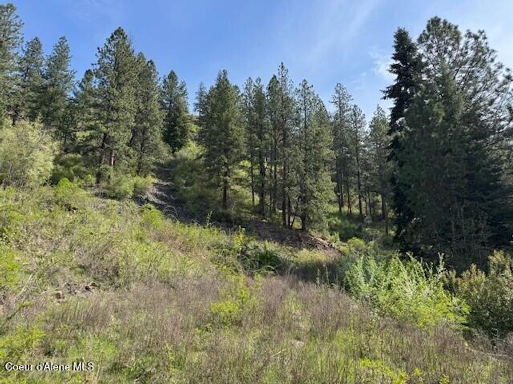 NKA Odessa Lp, St. Maries, ID 83861