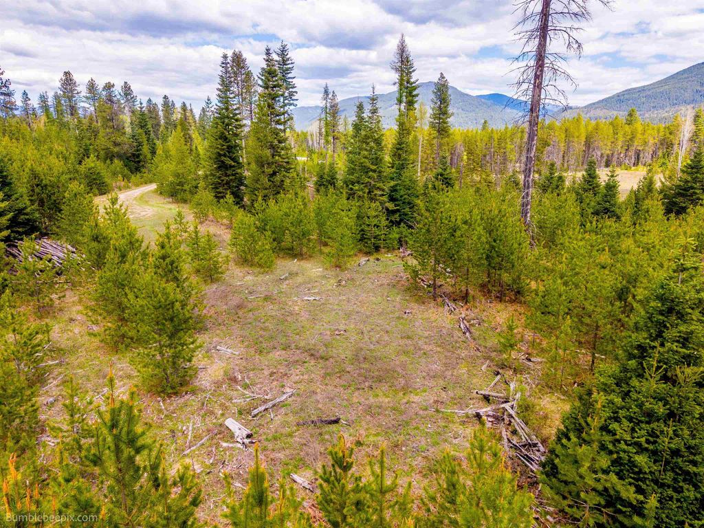 NKN Evergreen Rd, Ione, WA 99139 photo 11
