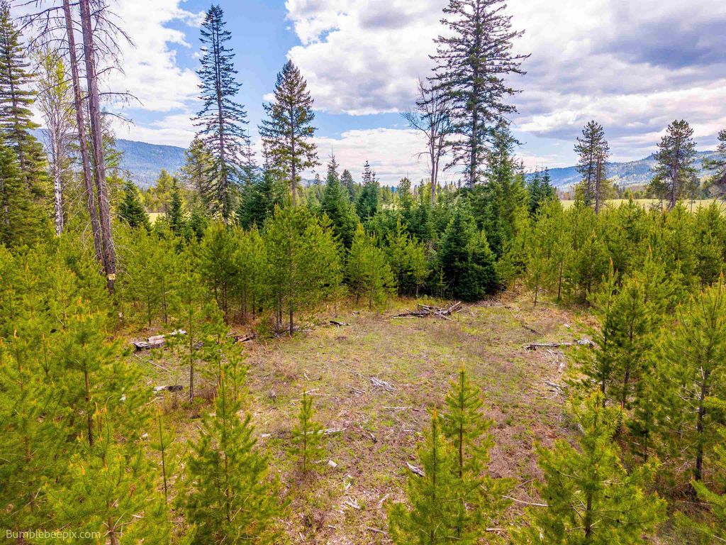 NKN Evergreen Rd, Ione, WA 99139 photo 12