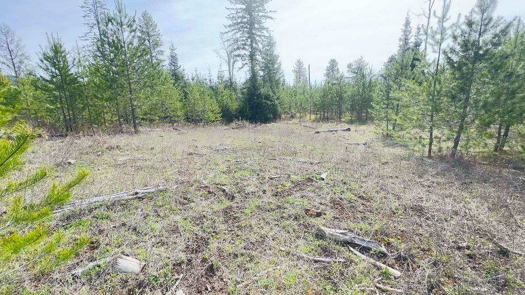 NKN Evergreen Rd, Ione, WA 99139 photo 13