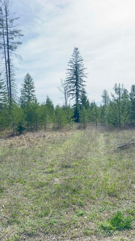 NKN Evergreen Rd, Ione, WA 99139 photo 14