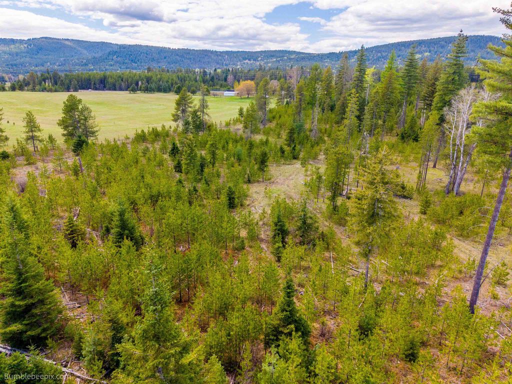 NKN Evergreen Rd, Ione, WA 99139 photo 7