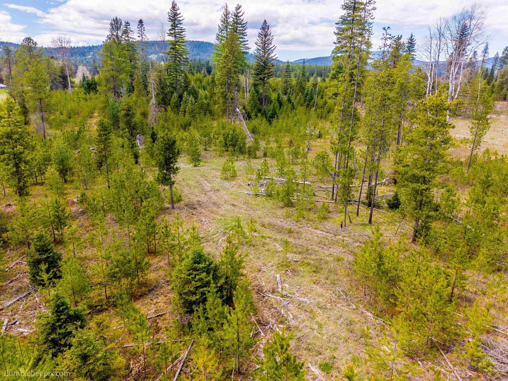NKN Evergreen Rd, Ione, WA 99139 photo 8