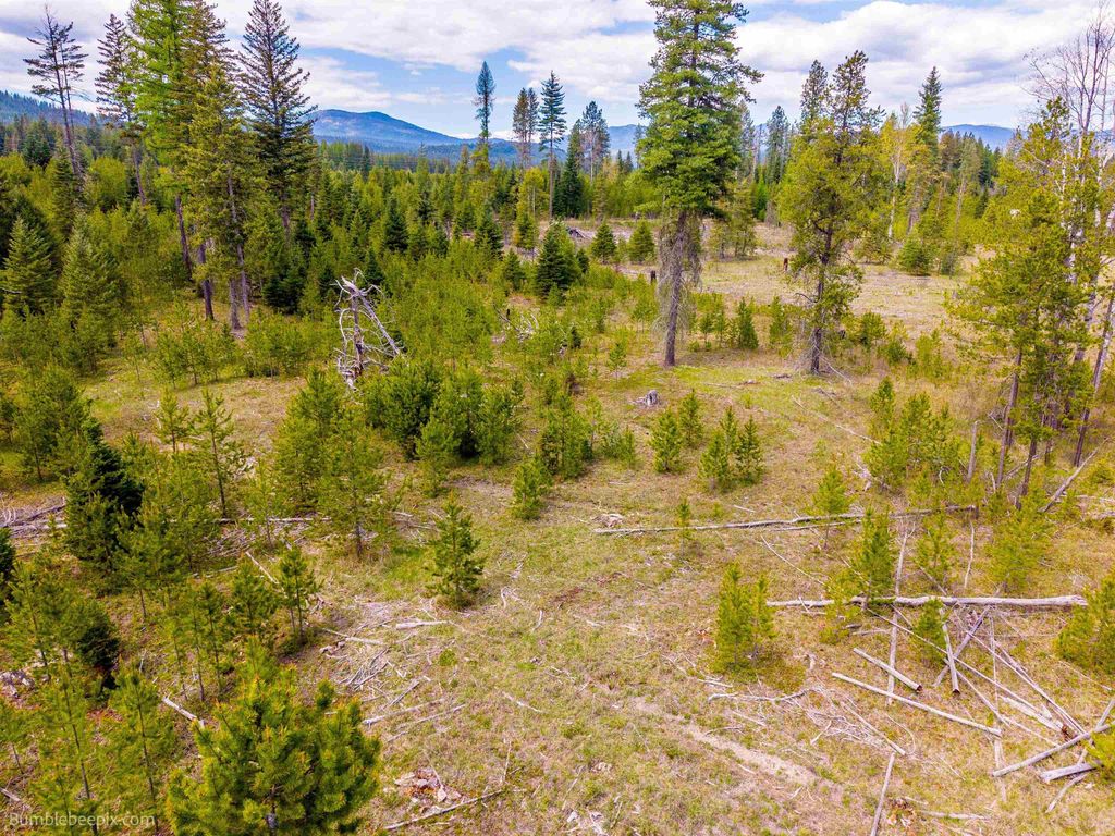 NKN Evergreen Rd, Ione, WA 99139 photo 9