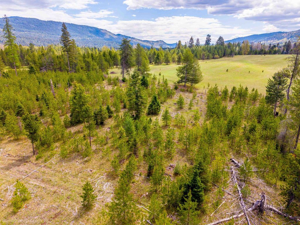 NKN Evergreen Rd, Ione, WA 99139 photo 10