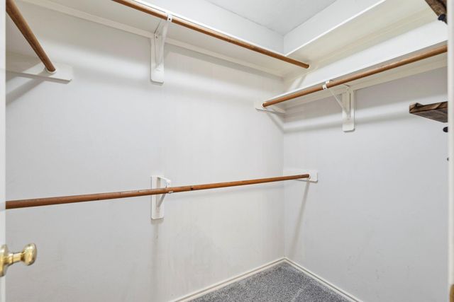 19 Timberstar Street, The Woodlands, TX 77382