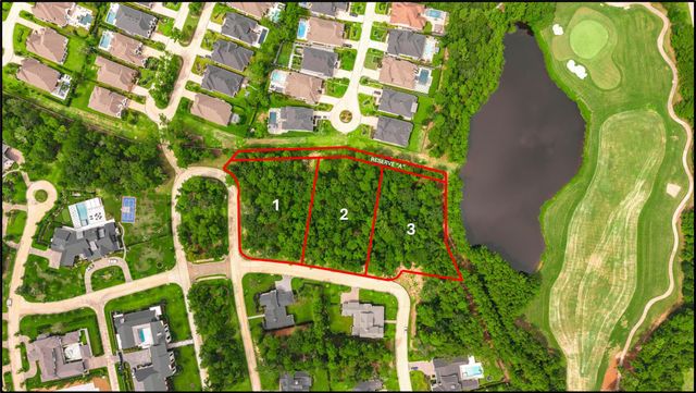 100 Castle Pines Drive, Montgomery, TX 77316