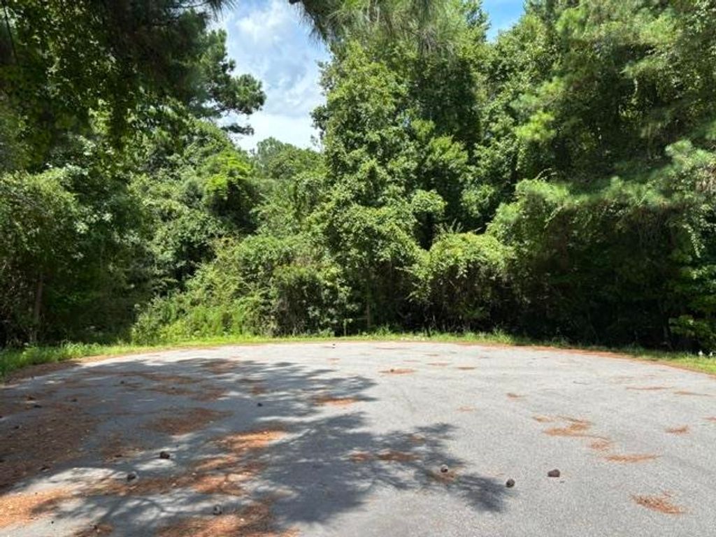 TBD Diff Ave., Loris, SC 29569 — exterior