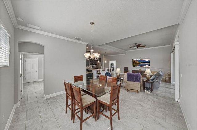 1017 TRACEY ANN LOOP, Seffner, FL 33584