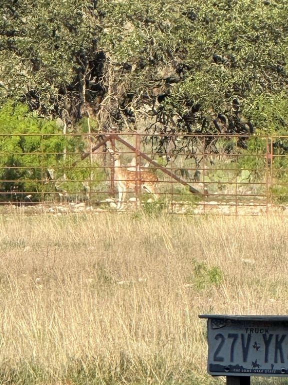 Image 14 of property listing at 3420 NE County Rd 2596, Sonora, TX 76950