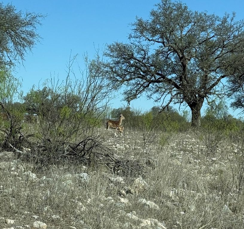 Image 15 of property listing at 3420 NE County Rd 2596, Sonora, TX 76950