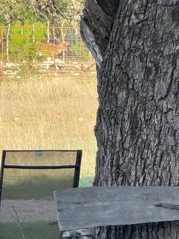 Image 16 of property listing at 3420 NE County Rd 2596, Sonora, TX 76950