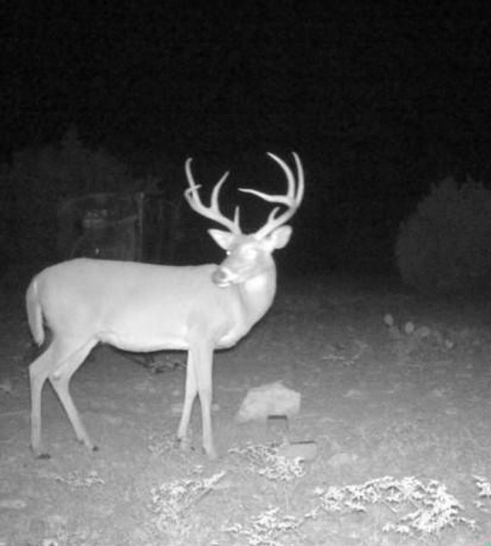 Image 2 of property listing at 3420 NE County Rd 2596, Sonora, TX 76950