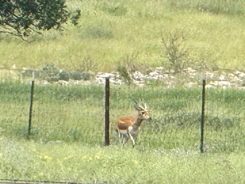 Image 20 of property listing at 3420 NE County Rd 2596, Sonora, TX 76950