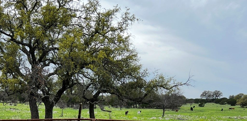 Image 37 of property listing at 3420 NE County Rd 2596, Sonora, TX 76950