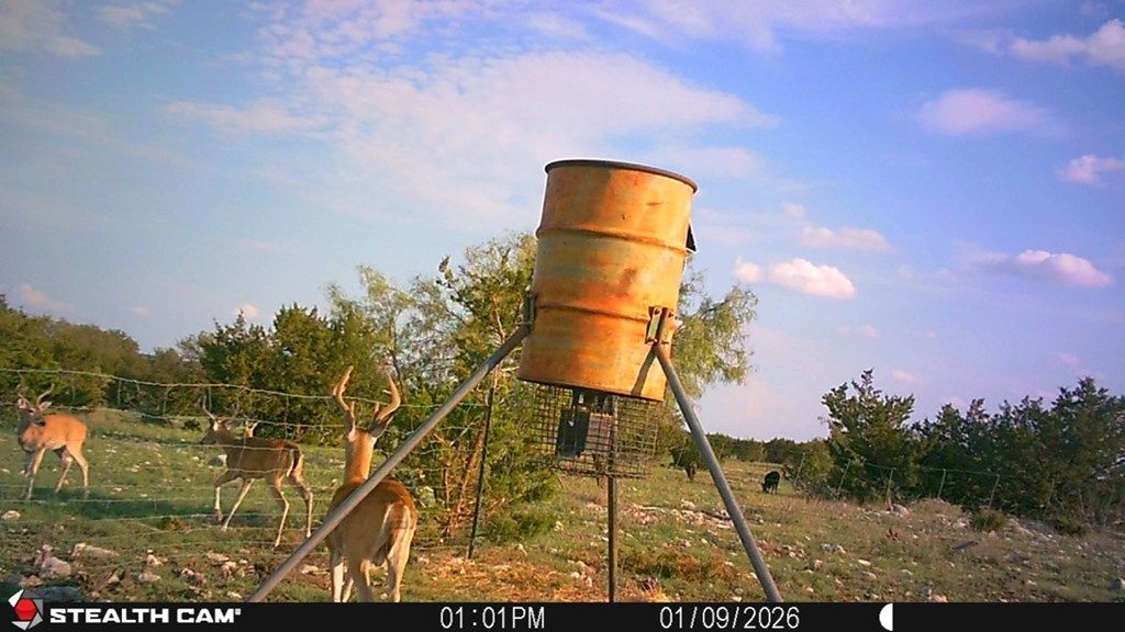 Image 4 of property listing at 3420 NE County Rd 2596, Sonora, TX 76950