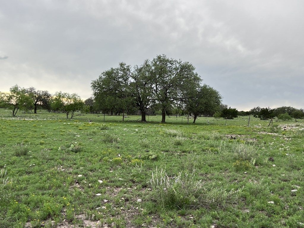 Image 49 of property listing at 3420 NE County Rd 2596, Sonora, TX 76950